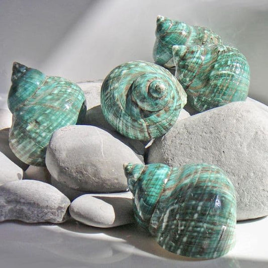 RAAK.Armband | SEELIG