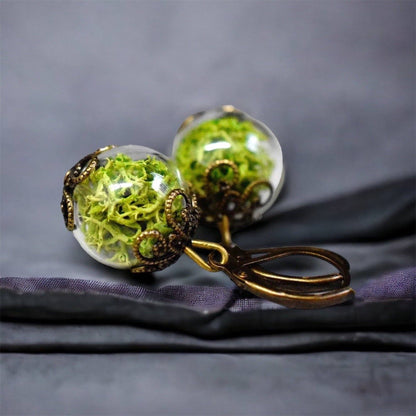 RAAK.Oorringen | MOS