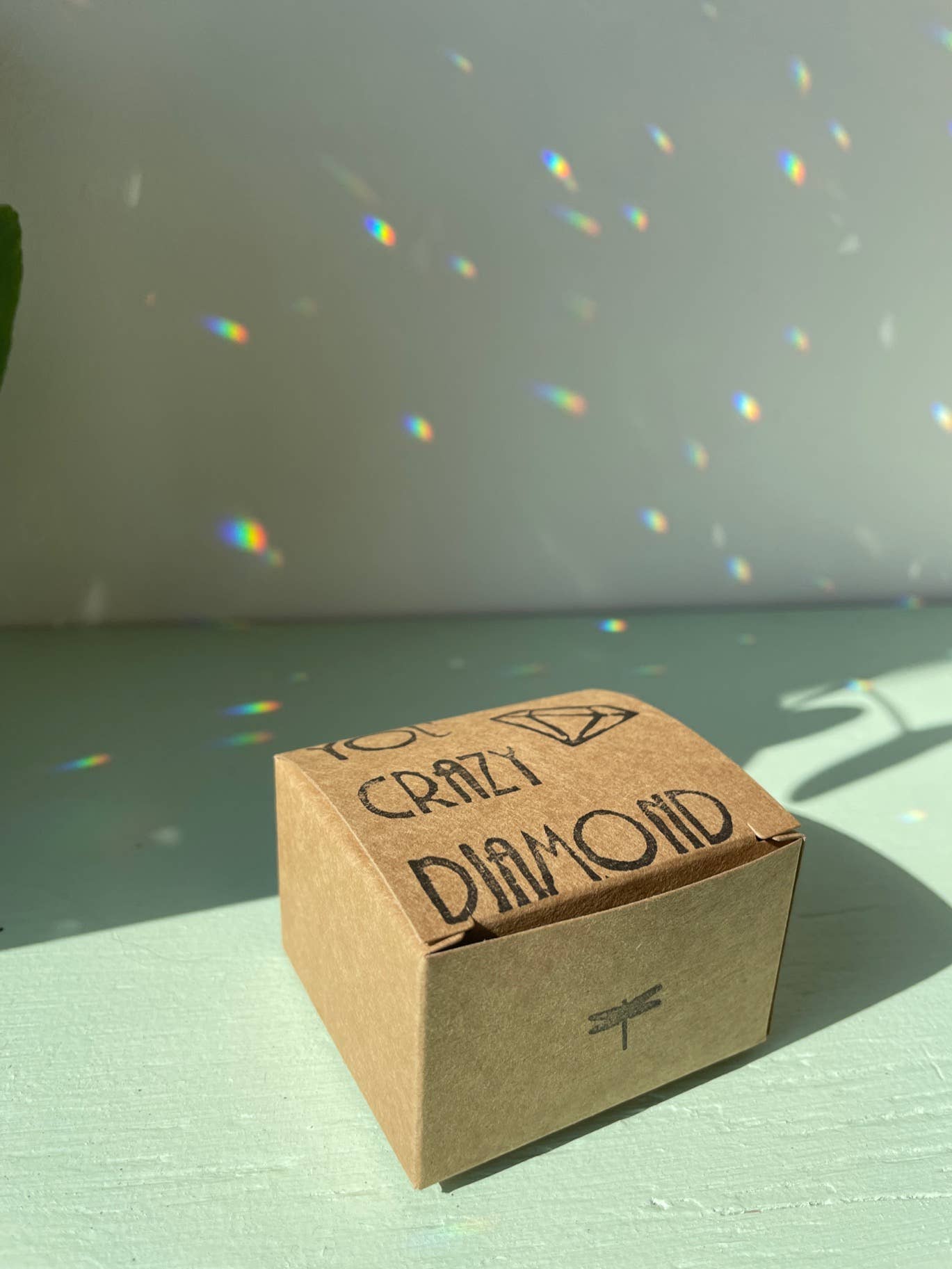 RAAK.Zonnevanger | KLEI