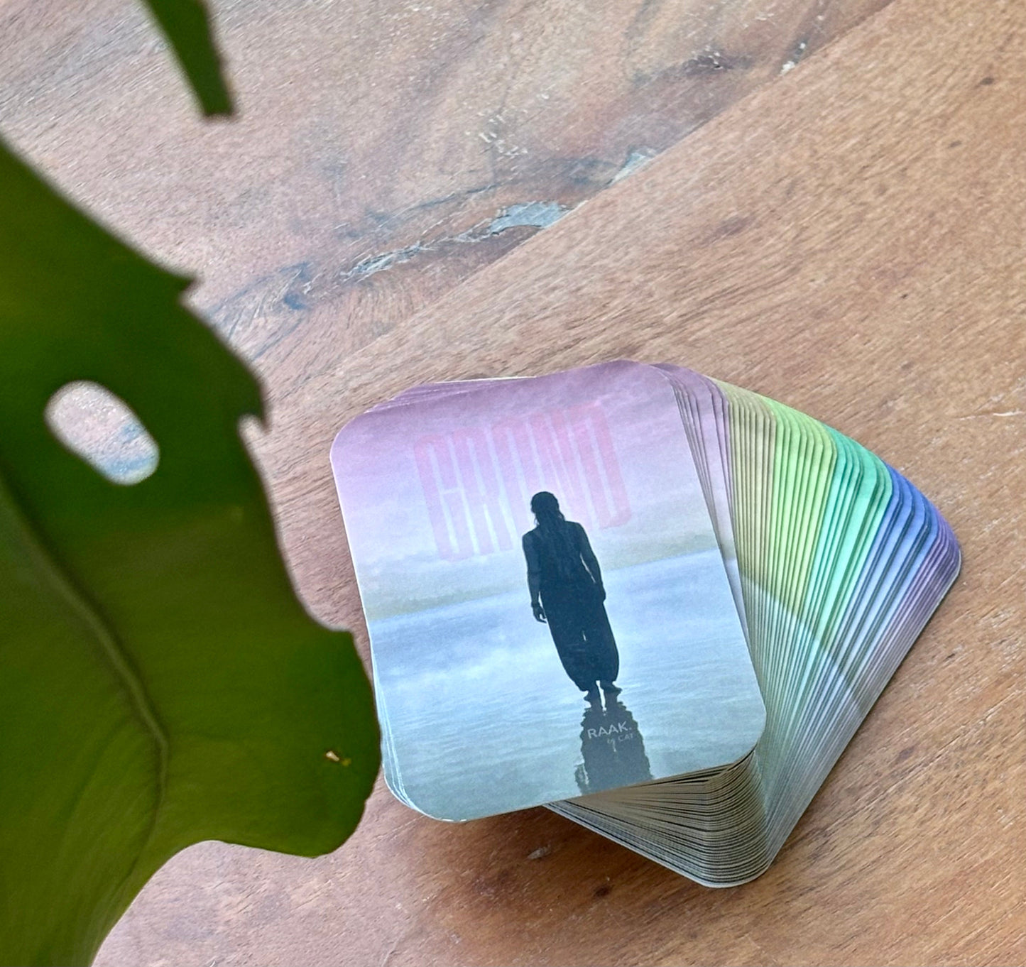 RAAK. Woorden — Zakje | 48 Reflectiekaarten